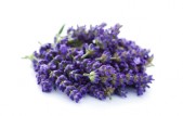 Stockfresh_173479_pile-of-lavender_sizeXS_790458