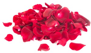 Stockfresh_3849413_pile-of-rose-petals_sizeXS_fd9c80