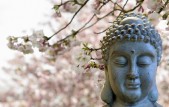 Zen buddha - peace of mind